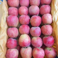 فروش 60 تن سیب قرمز و سفید