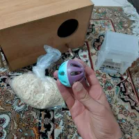 لانه پرنده|پرنده|تهران, بهمن یار|دیوار