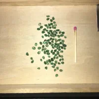 زمرد اصل|جواهرات|شیراز, سینما سعدی|دیوار