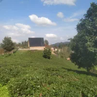 اجاره روزانه کلبه سویسی آسمان ویو بینظیر|اجارهٔ کوتاهمدت آپارتمان و سوئیت|لاهیجان, لیل|دیوار