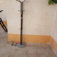 چوب لباسی