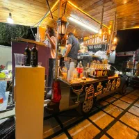 آریسان با بدنه فلزی داخل چوب ترمو و برق کشی کامل