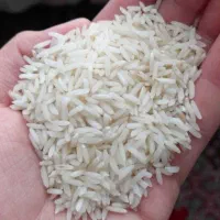 برنج نیم دونه سر لاشه و سالم خوش پخت