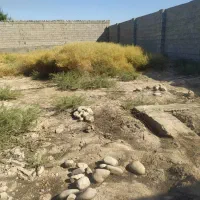 فروش750متر زمین آبادی داوود/ کد آگهی 11008 / nikan|فروش دفتر صنعتی، کشاورزی، تجاری|شوش, |دیوار