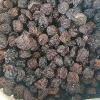 آلوچه سیاه مراغه