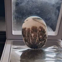 شجر تک درخت|جواهرات|زنجان, |دیوار