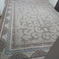 دو عدد ۱۲ متری|فرش|زاهدان, |دیوار
