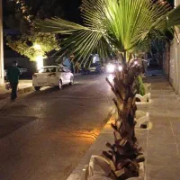 فروش یک باب مغازه|فروش مغازه و غرفه|هشتگرد, شهرک ولیعصر (مصلی)|دیوار