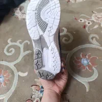 کفش نو|کیف، کفش، کمربند|پرند, فاز ۲|دیوار