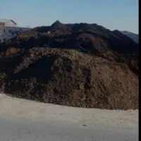 کود گاوی سوخته درجه 1|خدمات باغبانی و درختکاری|چناران, |دیوار