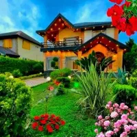ویلا-دوبلکس450m-طرح-چوب-کلبه-ایی-رویایی-باویوجنگل