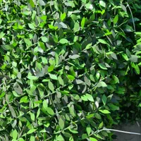 انبار بزرگ چمن مصنوعی و فنس چمنی|خدمات باغبانی و درختکاری|تهران, تهرانپارس شرقی|دیوار