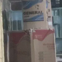 تعدادی کارتون