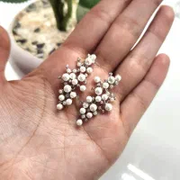 جواهرت نقره|جواهرات|شیراز, شاهچراغ|دیوار