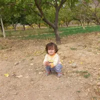 دنبال کار میگردم کارگر ساده هستم