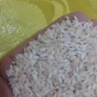 خرید عمده برنج عنبر بو شوشتر مستقیم از کشاورز|خوردنی و آشامیدنی|شهرکرد, |دیوار