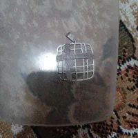 توگردنی مردانه