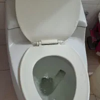 توالت فرنگی کارکرده