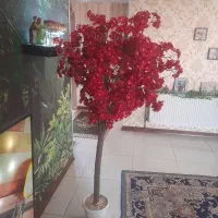 درختچه مصنوعی وتعدادی شاخه گل قرمز|گل مصنوعی|تهران, هاشمآباد|دیوار