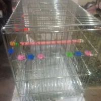 قفس وتعدادی لوازم بازی پرنده