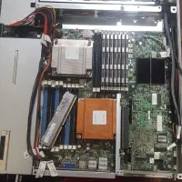 دو عدد سرور سالم