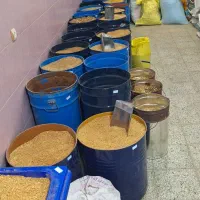 فروش انواع  دانه مرغی  جو گندم دارو  لوازم آبخوری|لوازم جانبی حیوانات|زابل, |دیوار