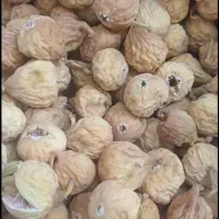 انجیر استهبان