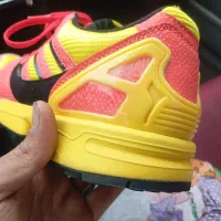 کتونی zx|کیف، کفش، کمربند|شهریار, شهریار|دیوار