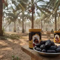 عسل و محصولات سنتی