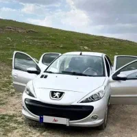پژو ۲۰۷ نقره ای 1391