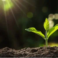 ترک انواع موادمخدر کاملا محرمانه