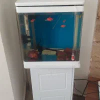 اکواریوم ماهی و کمد با وسایل