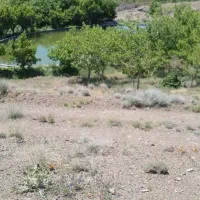 مشارکت در ساخت|مشارکت در ساخت املاک|خلجستان, |دیوار