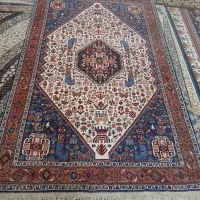 قالی دستبافت شوربوخورلو|فرش|شهرضا, |دیوار