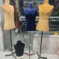 مانکن سوزن خور