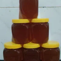 عسل و ژل رویال با کیفیت ، با ضمانت|خوردنی و آشامیدنی|تهران, اتابک|دیوار