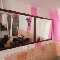 دکور کمد اینه تخت|میز و صندلی غذاخوری|سبزوار, چهارراه فرودگاه|دیوار