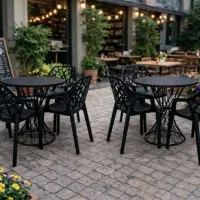 صندلی پلاستیکی شاخ و برگی کد 02 نگین /کرج گلشهر