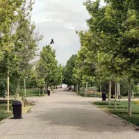 فروش-زمین-در-کلار-دشت