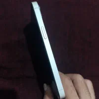 ایفون 13نرمال256|موبایل|جیرفت, |دیوار