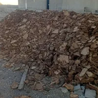 فروش فوری کود مرغی میناب