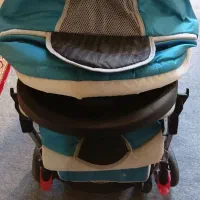 کالسکه بچه دلیجان