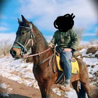 اسب|اسب و تجهیزات اسب‌سواری|نصر آباد, |دیوار