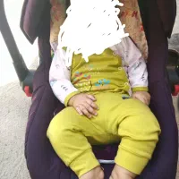 کالسکه، کریر،روروئک و گهواره|کالسکه و لوازم جانبی|تهران, شهرک صادقیه|دیوار