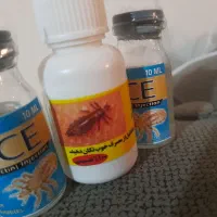 محلول شپش اصل