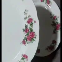 ظروف گل سرخی|ظروف سرو و پذیرایی|اهواز, کیان اباد|دیوار