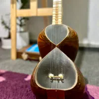 تار حرفه ای خوش صدا|سازهای سنتی|گرگان, |دیوار