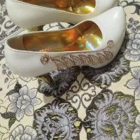 کفش مجلسی