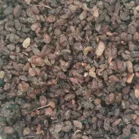 کشمش افتابی درجه یک|خوردنی و آشامیدنی|یزد, |دیوار