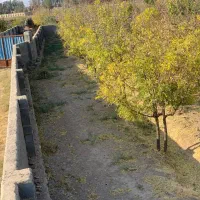 فروش باغ تقاب|فروش زمین و ملک کلنگی|خوسف, |دیوار